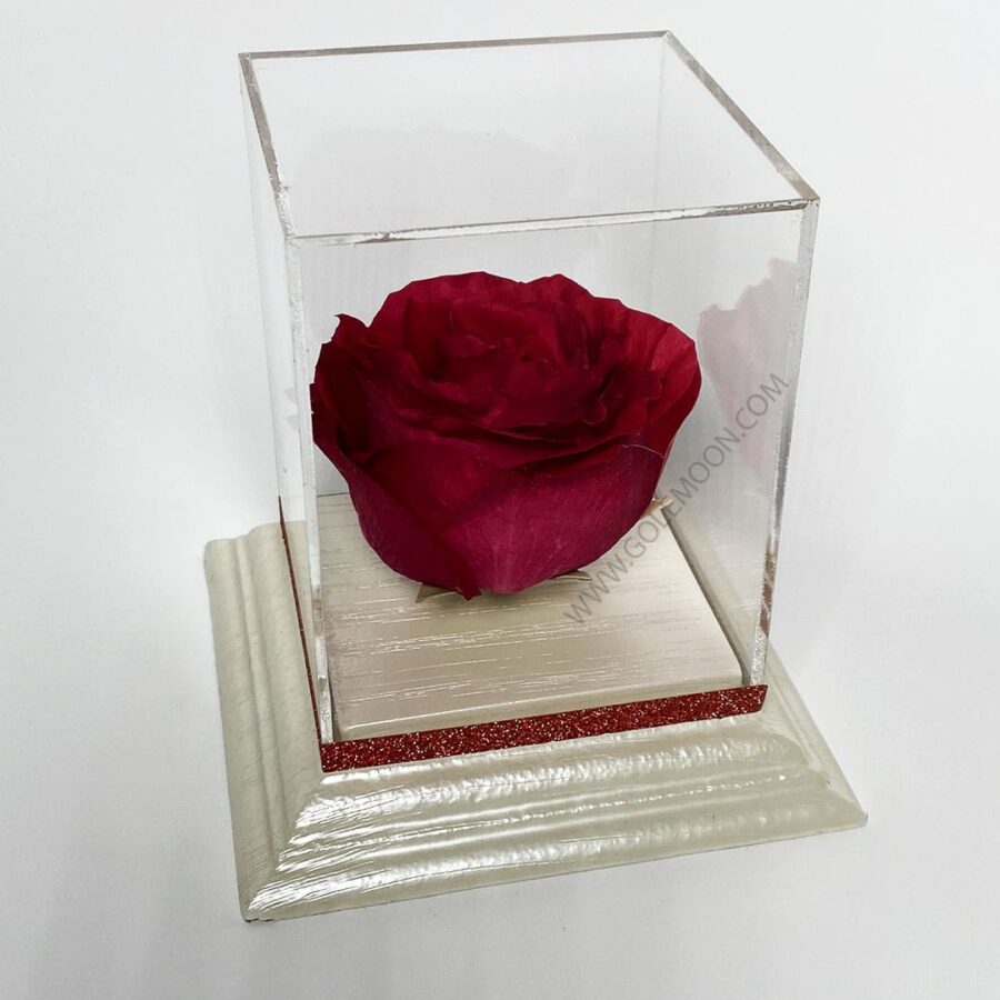 خرید باکس گل رز جاودان قرمز