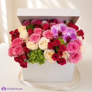 خرید باکس گل رز و ارکیده مناسب برای تولد،ولنتاین،سالگرد 23 شاخه
