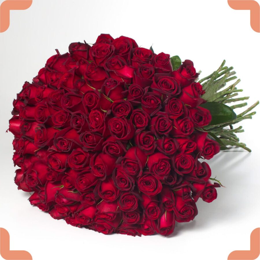 خرید یک بغل گل رز هلندی لوکس
