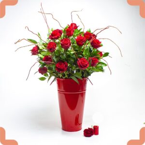 خرید باکس گل رز قرمز هلندی ۲۰ شاخه