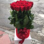 خرید باکس گل رز قرمز ساقه بلند 25 شاخه