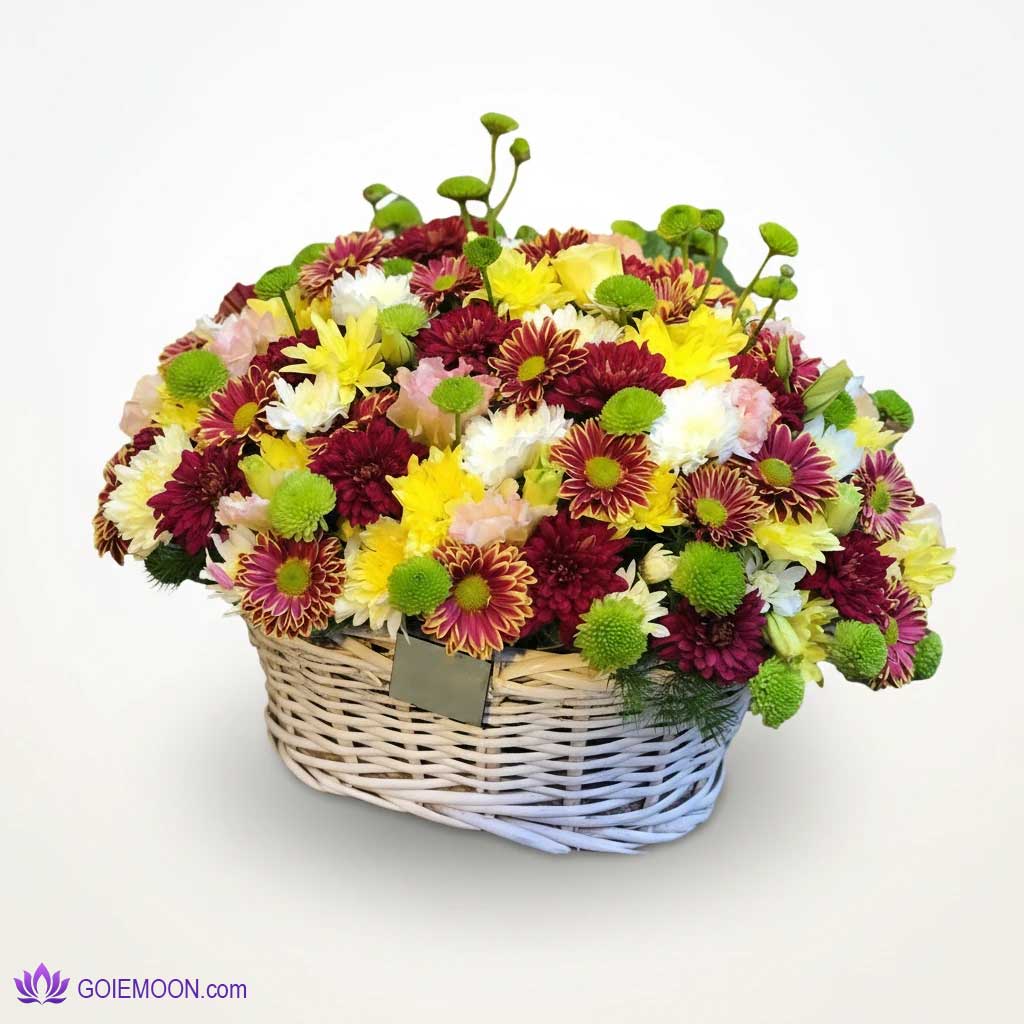 خرید سبد گل طراوت خرید سبد گل طراوت