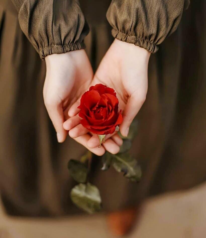 مدونا فروزن