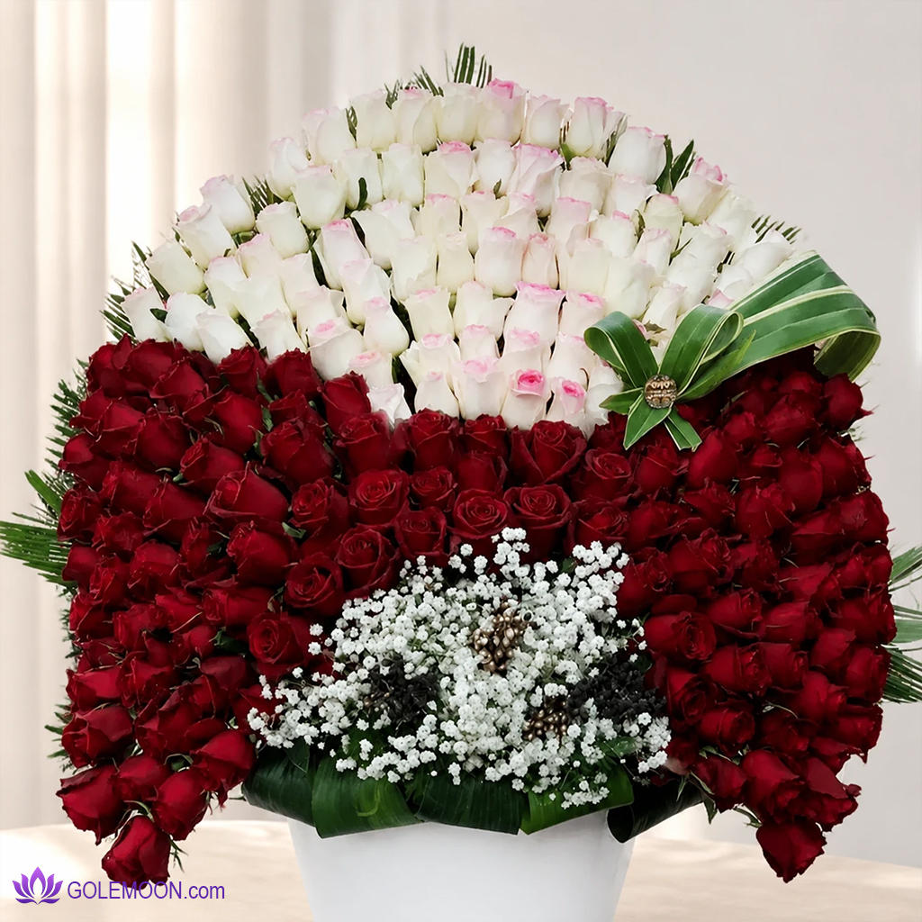 خرید باکس ولنتاین و تولد هیجان من 6 شاخه رز (2) خرید باکس ولنتاین و تولد هیجان من 6 شاخه رز