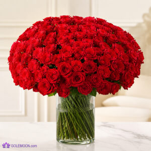 خرید باکس گل 300 شاخه
