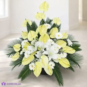 خرید سبد ترحیم ثاقب