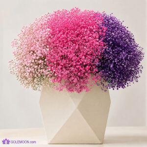 خرید باکس گل رژینا