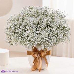خرید باکس تولد پاکدل
