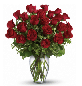 خرید دو دوجین گل رز قرمز ساقه بلند(کانادا)