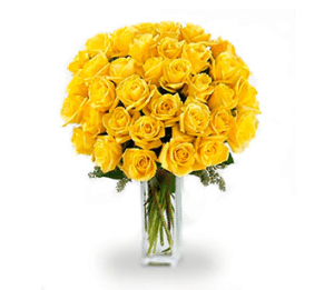 خرید 36 گل رز زرد ساقه بلند(کانادا)