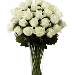 دو دوجین گل رز سفید ساقه بلند
