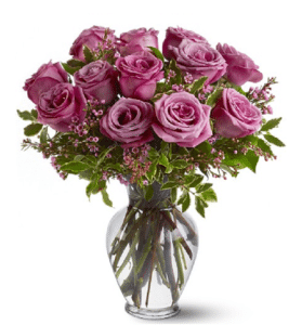 خرید 12 گل رز اسطوخودوس ساقه بلند(کانادا)