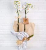 خرید ViaBonte-White Sylphs and Orchids (ترکیه)