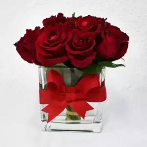 خرید 15 گل رز در گلدان (امارات)