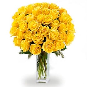 خرید 36 گل رز زرد ساقه بلند (کانادا)