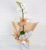 خرید ViaBonte-Fairies و Orchids سفید(ترکیه)