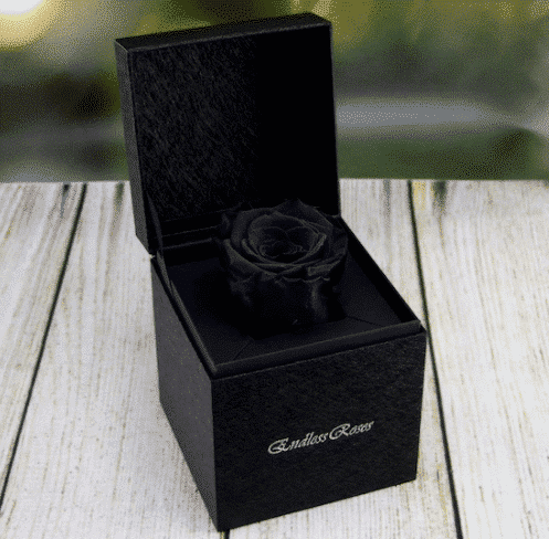 Black Unfading Rose in Premium Box 1 خرید رز سیاه محو نشده در جعبه ممتاز(ترکیه)