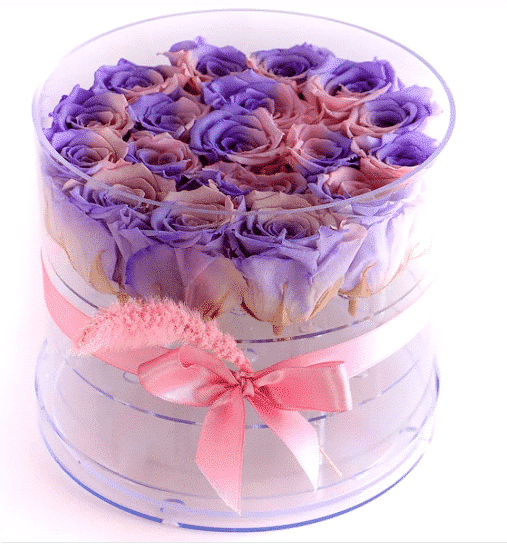 Rainbow Pink Lilac Roses in Transparent Box خرید رزهای صورتی یاسی رنگین کمانی در جعبه شفاف(ترکیه)