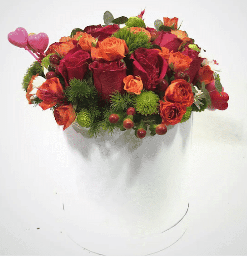 Rita Red Rose Series خرید سری رز قرمز ریتا (ترکیه)