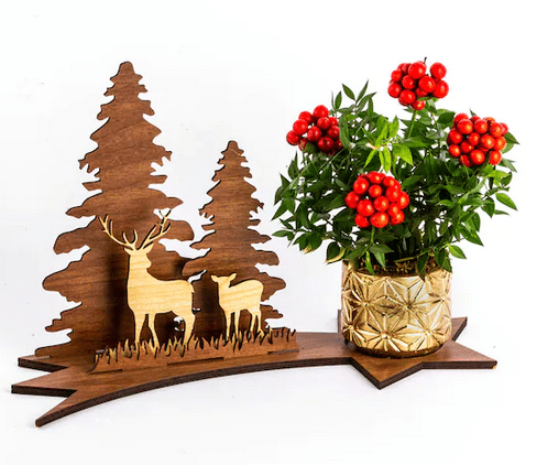 Star Christmas Special Series Special Kokina خرید ستاره ویژه کریسمس سریال ویژه کوکینا (ترکیه)