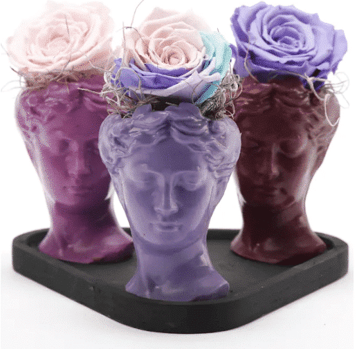 Trio Mini Helen Series Unfading Rose Design Black Base خرید طرح سه گانه مینی هلن سری بدون محو شدن رز - پایه مشکی(ترکیه)