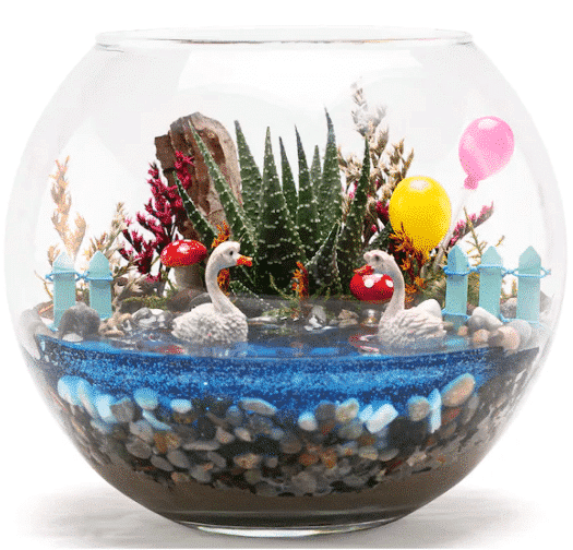 Venice Series Balloon Haworthia Design خرید بالون سری ونیز طرح هاورتیا (ترکیه)