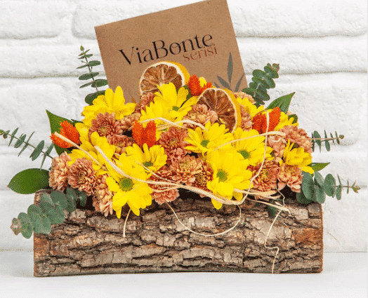 ViaBonte All That Is You خرید ویابونته-همه چیز تو هستی(ترکیه)
