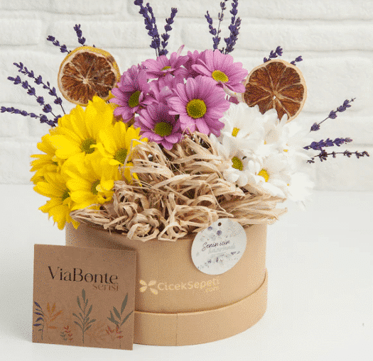 ViaBonte First Love Spring خرید ویابونته- اولین عشق بهار (ترکیه)