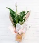 خرید ViaBonte-ردپای شما در ماه(ترکیه)
