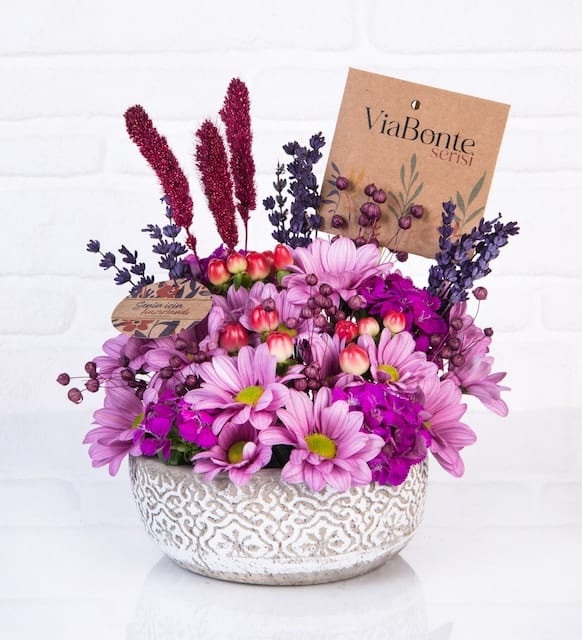 vbt494 1 8da707ab658f483 51c33b4e خرید روزهای ViaBonte-Lilac(ترکیه)