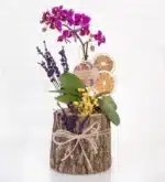 خرید ViaBonte-Nature's Call(ترکیه)