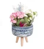 خرید گلدان گل Kalanchoe سری ستاره با پایه های چوبی(ترکیه)