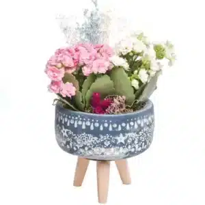 خرید گلدان گل Kalanchoe سری ستاره با پایه های چوبی(ترکیه)
