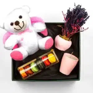 خرس عروسکی مخملی فرشته صورتی - شمع صورتی - ماکارون - اسطوخودوس معطر در گلدان منحنی صورتی - جعبه هدیه طرح ویژه شماره: 17