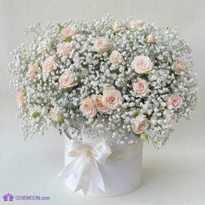 خرید باکس گل پارلا