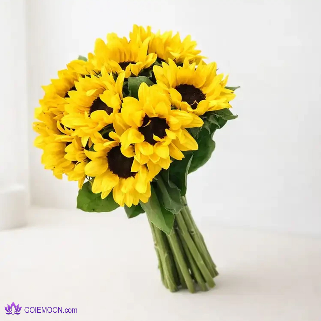 خرید دسته گل 11 شاخه خرید دسته گل 11 شاخه