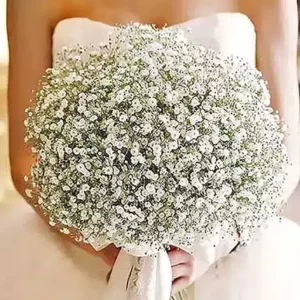 دسته گل سفید گیپسوفیلا عروس