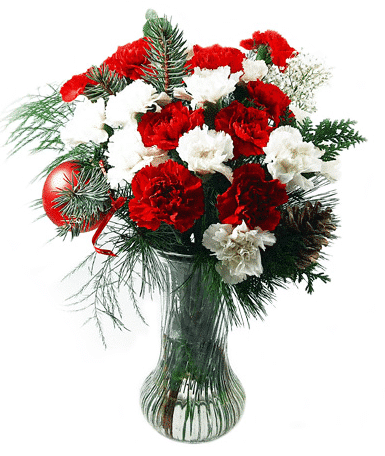 خرید دسته گل کلاسیک زمستانی (کانادا)