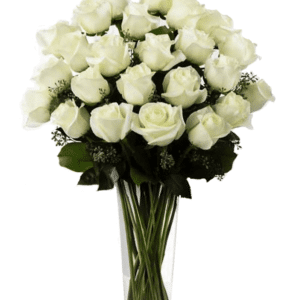 دو دوجین گل رز سفید ساقه بلند