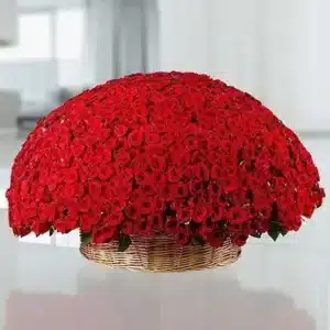 سبد 800 گل رز قرمز