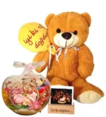خرید هدیه نوزاد دختر گنبد تراریوم نورانی تولدت مبارک ست خرس عروسکی (ترکیه)