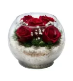خرید گلدان آکواریومی Paşabahçe با 5 گل رز قرمز (ترکیه)