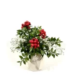 خرید گلدان بتنی هندسی ویژه کریسمس طرح کوکینا (ترکیه)