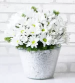 خرید گلدان پساباحچه با چیدمان دیزی سفید (ترکیه)