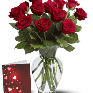 خرید یک دوجین گل رز قرمز ساقه بلند (کانادا)