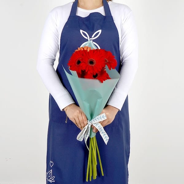 10 ژربرای سرخ III خرید 10 ژربرای سرخ III (مصر)