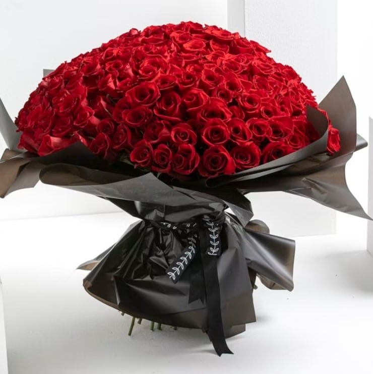 250 گل رز خرید 250 گل رز (قطر)