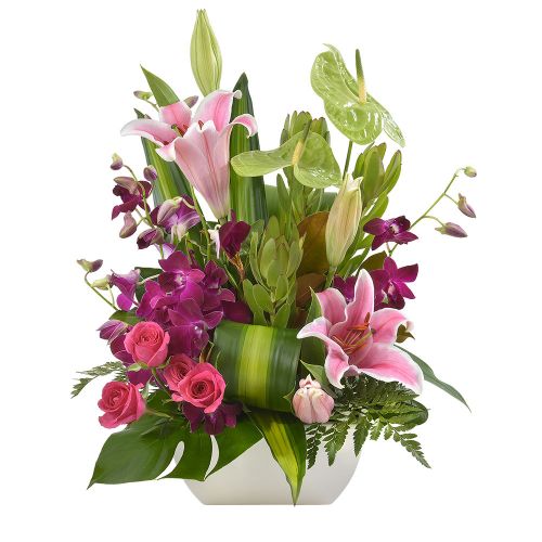 .jpg خرید ارتعاش (استرالیا)