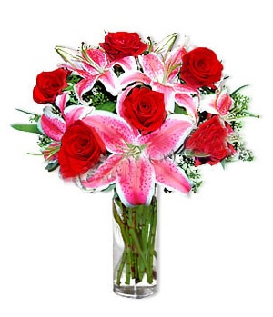 فرشته خرید بوسه فرشته (چین)
