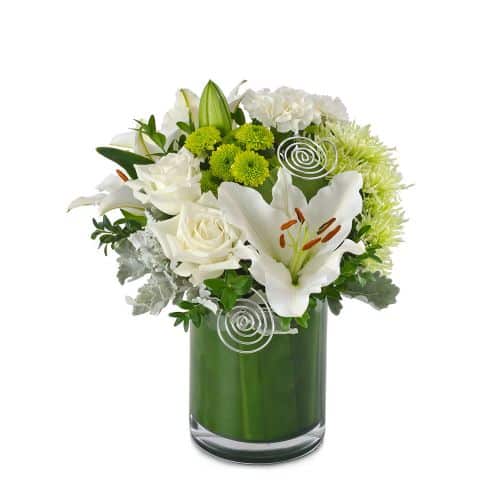 خاطر 1 خرید تعلق خاطر (استرالیا)